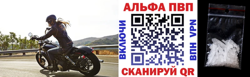 Alfa_PVP СК  Кологрив 