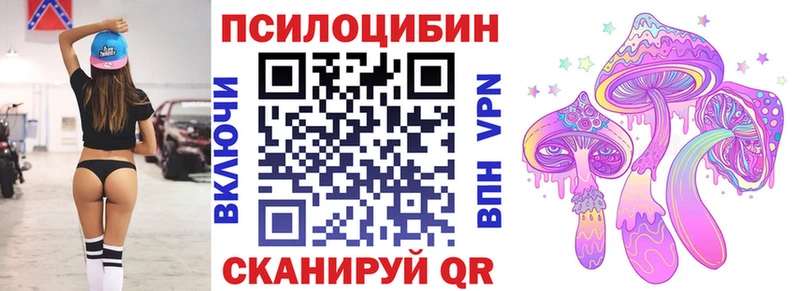 Галлюциногенные грибы Psilocybe  Кологрив 