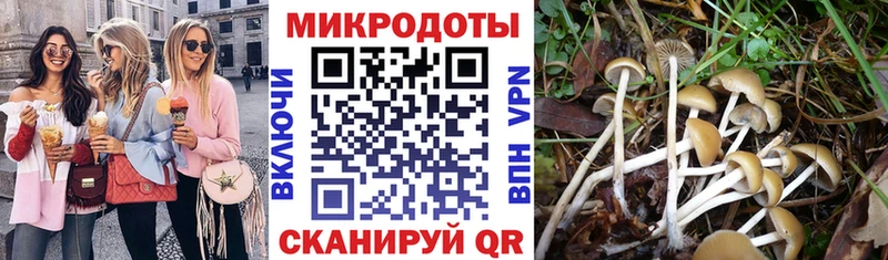 Псилоцибиновые грибы ЛСД Кологрив