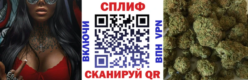 Бошки Шишки MAZAR Кологрив